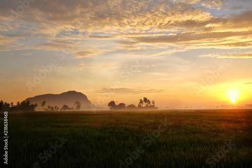 Landscape view of paddy fields coconut tree mountain during sunrise.