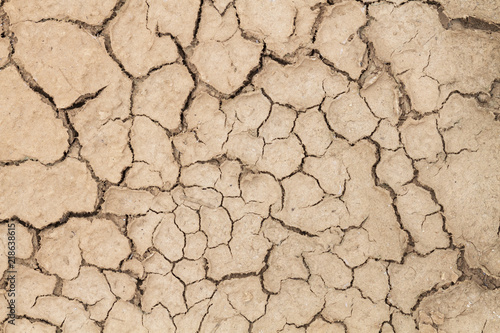 Closeup of dry soil, Cracked Ground Background