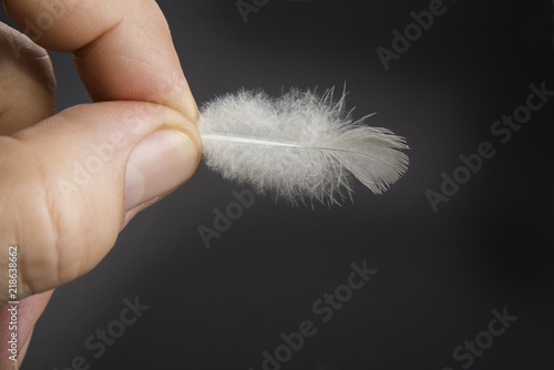 Black and white feather of a bird on a black background