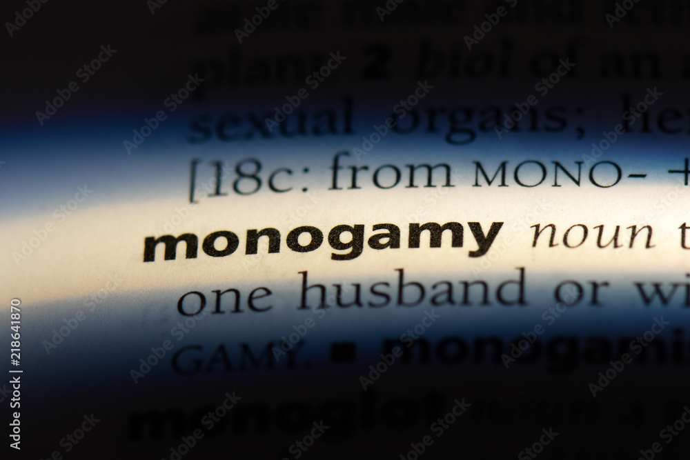Obraz na plátně monogamy
