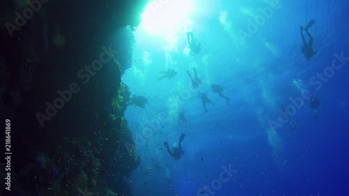 Wallpaper Mural Divers Swims over Coral Reefs Torontodigital.ca