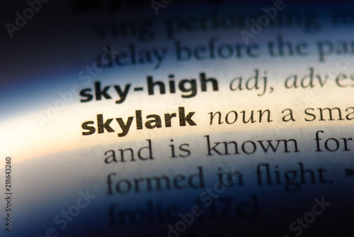 skylark