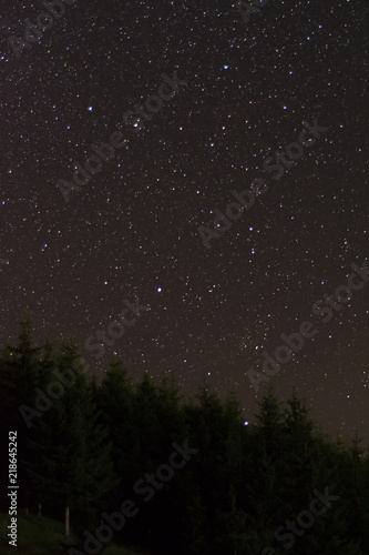 Simple stars above pines; Bicaz Gorge area, Romania