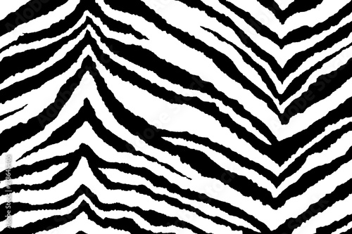 Background of zebra black and white  stripes of zebra