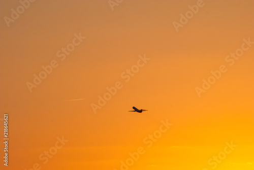 airplane flying in the sunset