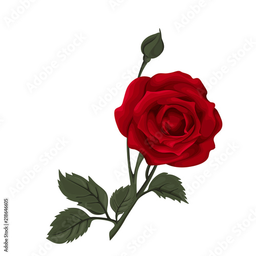 Beautiful red rose isolated on white. Perfect for background greeting cards and invitations of the wedding, birthday, Valentine's Day, Mother's Day.