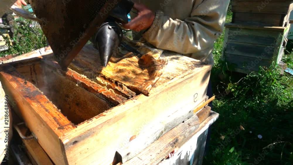 beekeepers inspect a beehive, slow motion beekeepers inspect a beehive, slow motion