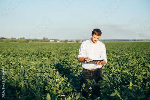 Agronomist holds tablet touch pad computer in the soy field and examining crops before harvesting. Agribusiness concept. agricultural engineer standing in a soy field with a tablet in summer. photo
