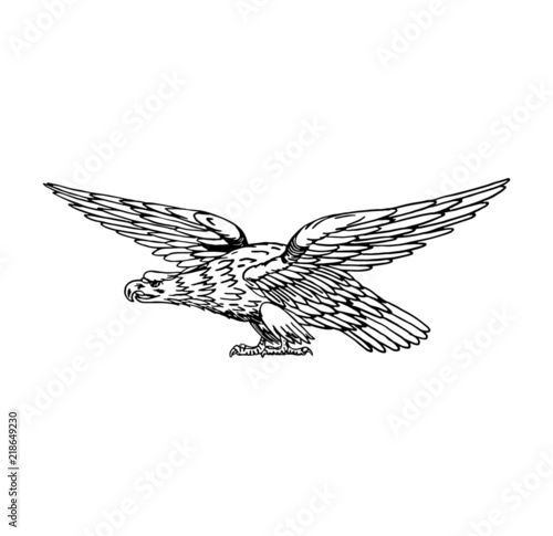 A golden eagle drawing isolated on a white background (ID: 218649230)