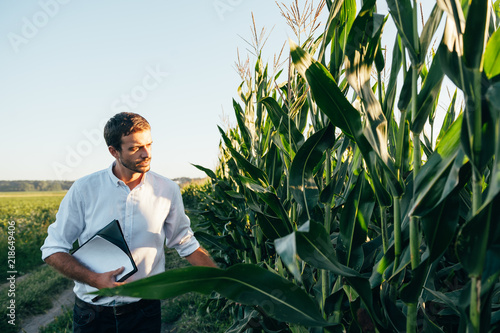 Yong handsome agronomist holds tablet touch pad computer in the corn field and examining crops before harvesting. Agribusiness concept. agricultural engineer standing in a corn field with a tablet. photo