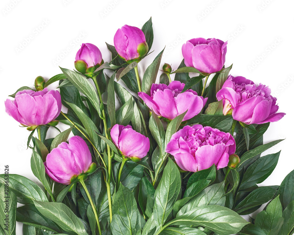 Obraz premium Bouquet of pink peonies isolated on white background. Top view. Flat lay.