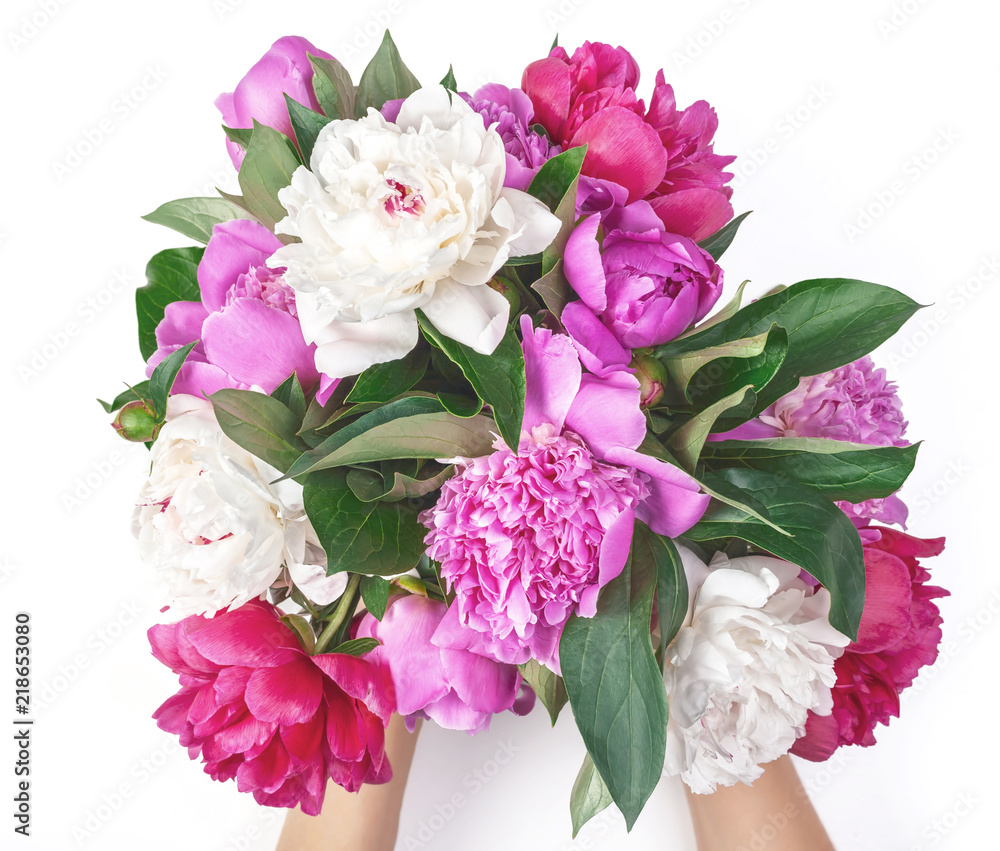 Bouquet of pink and white peony flowers in woman's hand isolated on white background. Top view. Flat lay.