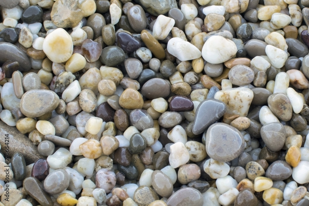 colorful pebbles on the beach in the summer morning colorful pebbles on the beach in the summer morning