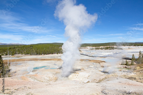 Norris geyser basin