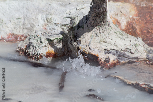 Norris geyser basin