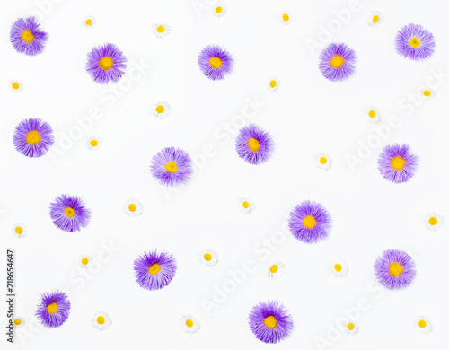 Floral pattern made of violet asters and chamomile on white background. Flat lay. Top view.