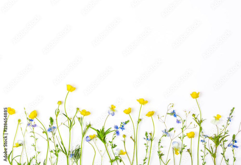 Meadow flowers with field buttercups and pansies isolated on white background. Top view with copy space. Flat lay. Meadow flowers with field buttercups and pansies isolated on white background. Top view with copy space. Flat lay.