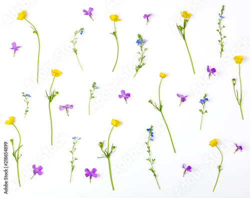 Floral pattern made of meadow flowers isolated on white background. Flat lay. Top view.