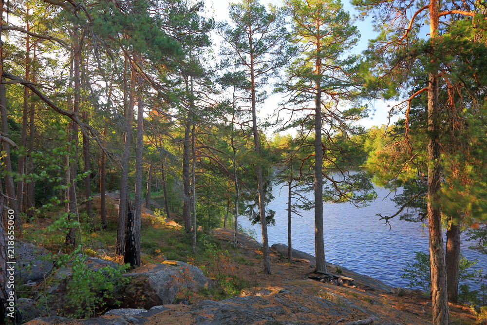 Gorgeous nature landscape view of lake with rocky coast line and green tall trees on blue sky background. Sweden, Europe. Beautiful backgrounds.