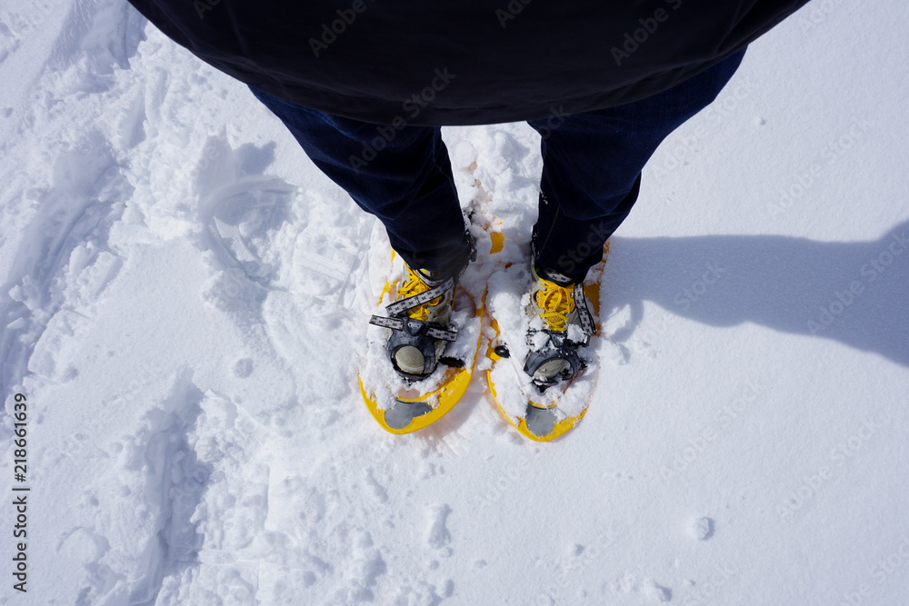 Raquetas de nieve