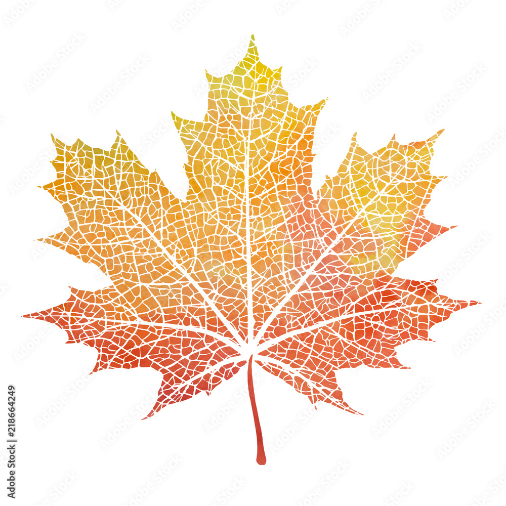 Fototapeta premium Watercolor maple autumn leaves, paint texture, vector
