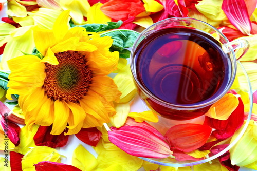 Fototapeta Naklejka Na Ścianę i Meble -  Glass cup of strong black tea, transparent saucer and field yellow sunflower flower surrounded tender soft colorful petals
