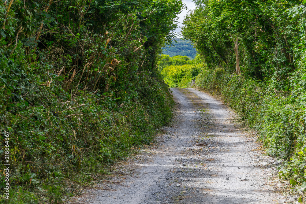 Farm road around vegetation in Ballyvaughan Farm road around vegetation in Ballyvaughan