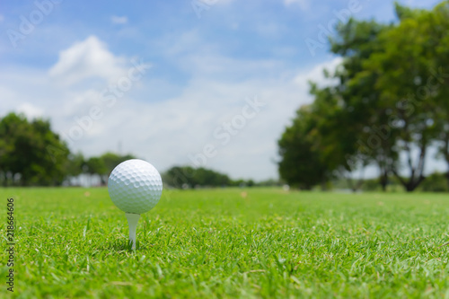 Golf concept : Golf ball on golf course, an golf ballset up for tee shot. Fairway as background.