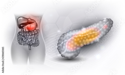 Pancreas anatomy, female silhouette with internal organs on a beautiful light delicate background