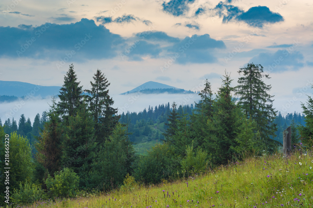 Misty carpathian mountain valley Misty carpathian mountain valley