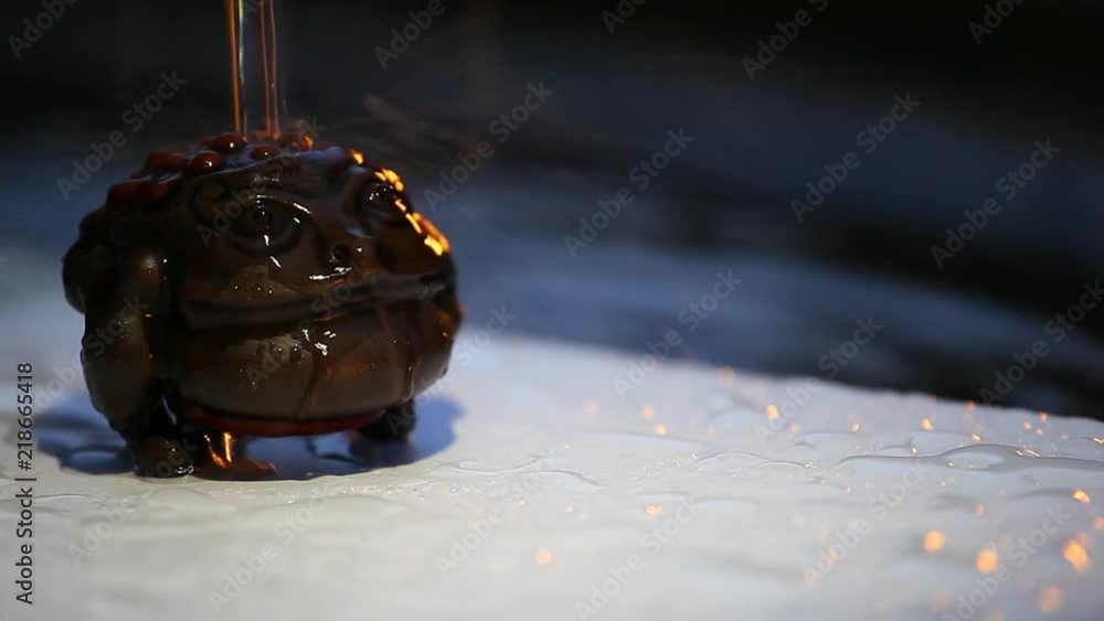 money toad water drops money toad water drops
