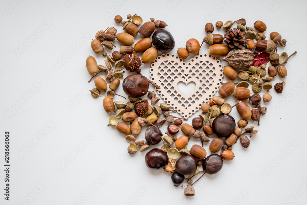 photo of the delicious nuts acorn as heart, heart shaped toy, fir-cones and nuts on the white background.autumn decorations .Copy space photo of the delicious nuts acorn as heart, heart shaped toy, fir-cones and nuts on the white background.autumn decorations .Copy space