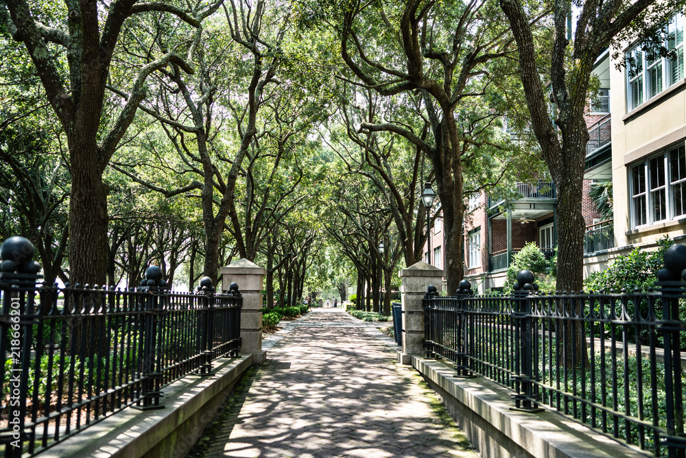 Obraz premium Charleston Waterfront Park