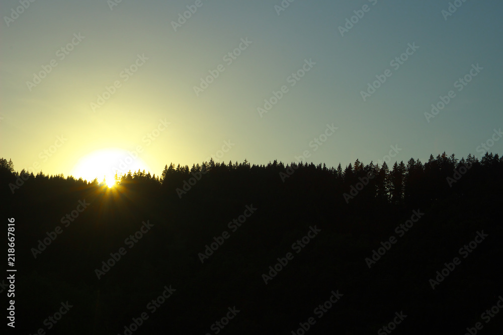 Fototapeta premium Sonnenuntergang mit Waldhorizont