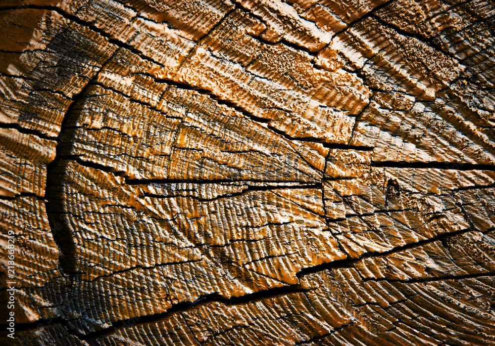 Fototapeta premium detail of painted wood with a crack