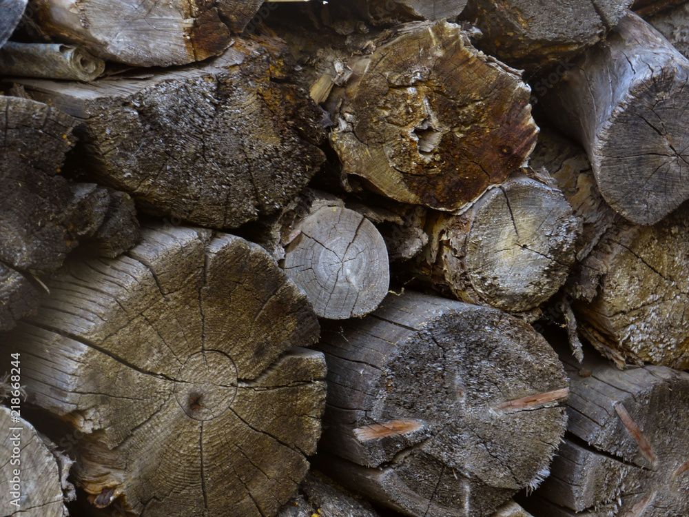 Naklejka premium woodpile texture of firewood