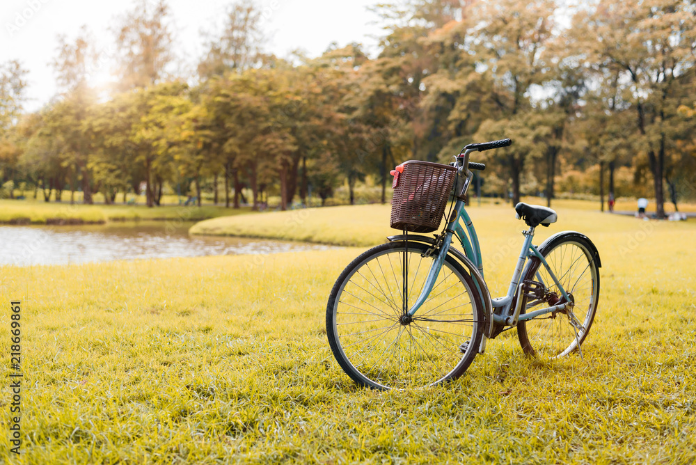 Fototapeta premium Bicycle in autumn park. Sport and activity concept. Relax and activity concept. Leisure and nature theme. Yellow tone theme.
