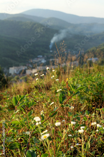 Mountain View. Carpathians, Ukraine.
