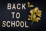Back to school concept. Top view banner autumn dry leaves over classroom blackboard background