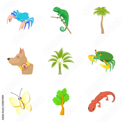 Herbivore icons set. Cartoon set of 9 herbivore vector icons for web isolated on white background