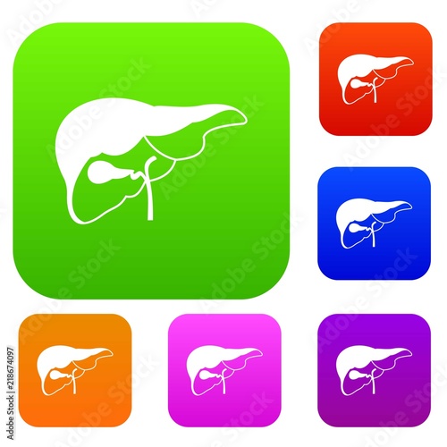 Liver set icon in different colors isolated vector illustration. Premium collection