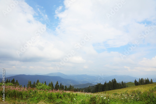 Picturesque landscape with mountain meadow