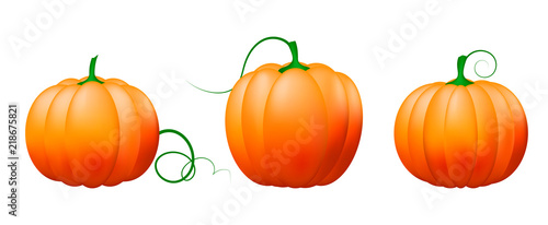 Pumpkin icon set,Vector vegetables.