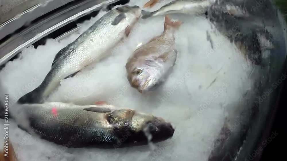 Fresh Sea Fish On Ice / Fresh raw mediterranean sea fish on ice close-up Fresh Sea Fish On Ice / Fresh raw mediterranean sea fish on ice close-up