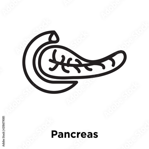 pancreas icons isolated on white background. Modern and editable pancreas icon. Simple icon vector illustration.