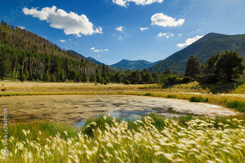 фотографія A bright day light landscape, san francisco peak, flagstaff, arizona in the back