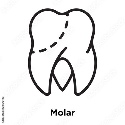 molar icons isolated on white background. Modern and editable molar icon. Simple icon vector illustration.