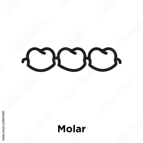 molar icons isolated on white background. Modern and editable molar icon. Simple icon vector illustration.