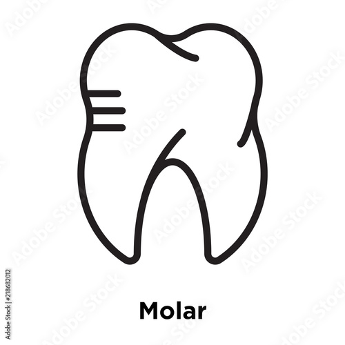 molar icons isolated on white background. Modern and editable molar icon. Simple icon vector illustration.