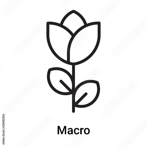 Macro icon vector isolated on white background, Macro sign , line or linear symbol and sign design in outline style
